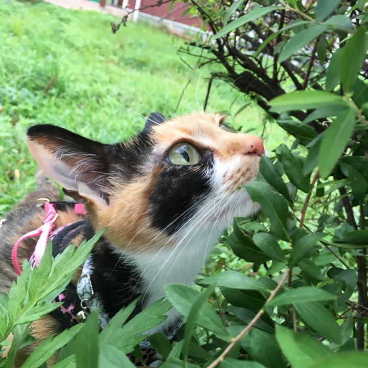 0cbf48d5 b45b 494a 9454 83acc6e93316