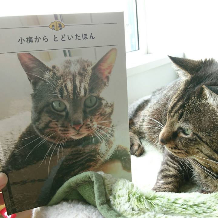 0cc00305 8dab 4be5 bd5e b39bfca303af