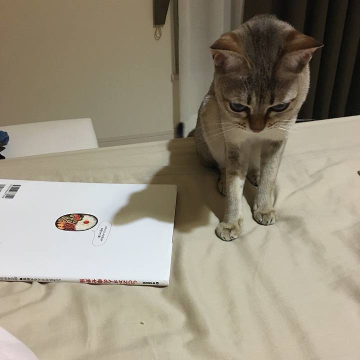 0cc09dcf 2b15 408b 9073 12f6fa156d55