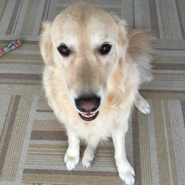 0cc0b26e 26d6 4ac7 b669 328af7fc9263