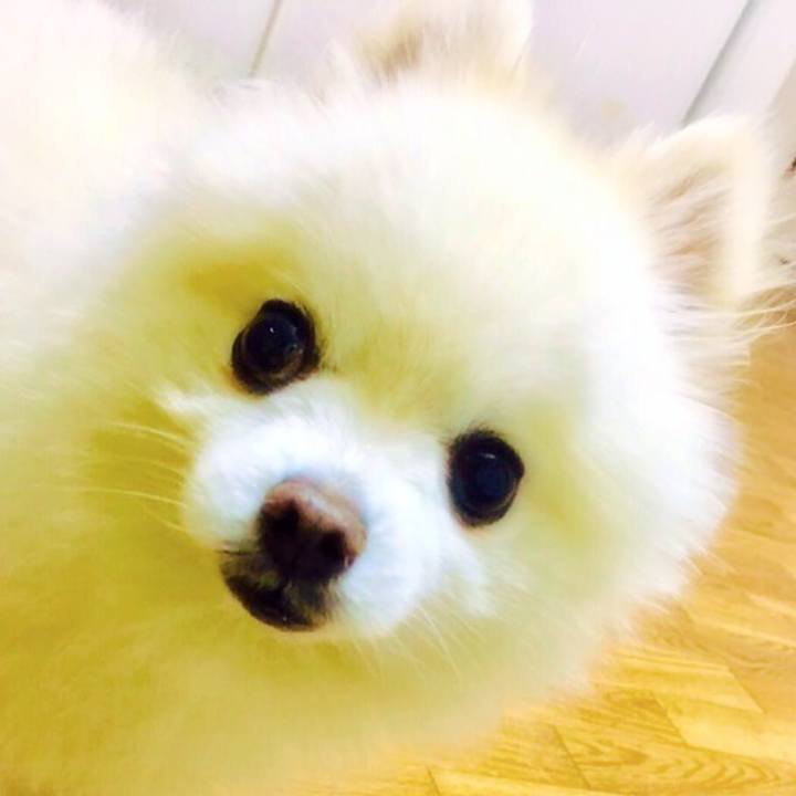 0cc0c0cf bd82 4b11 acdc 6e836790dd4f