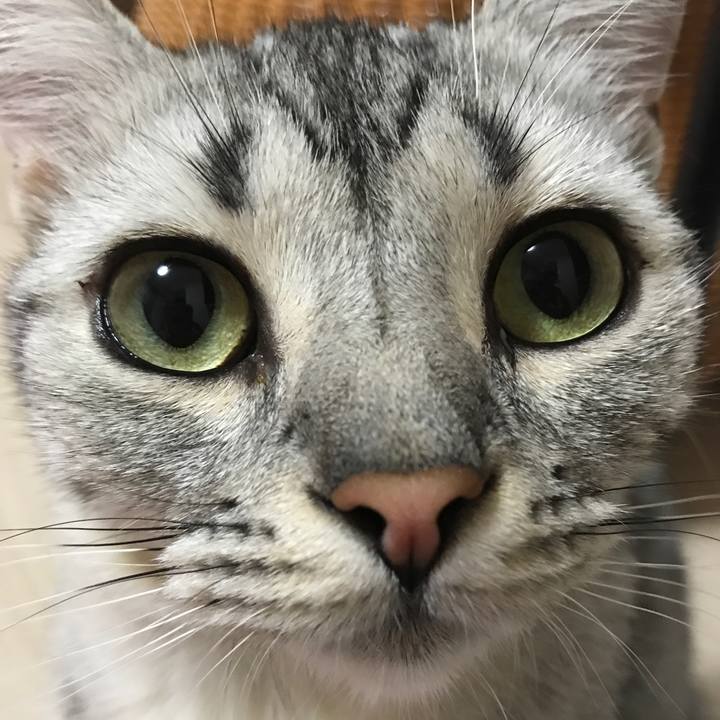 0cc0ecb7 5802 4c03 8ec3 790d3c3543be