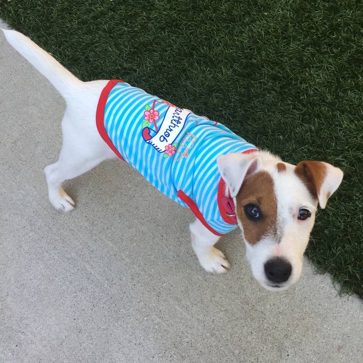 0cc1043f 2371 49e0 9c88 8134e103d5f6