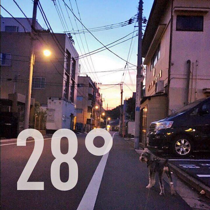 0cc106c3 077e 4758 b237 624bedfa088b