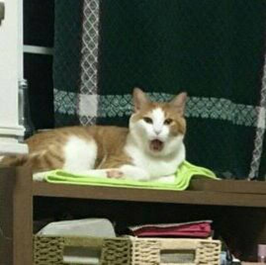 0cc160ce 20d6 423f ae9c 52c9c3e9ce35