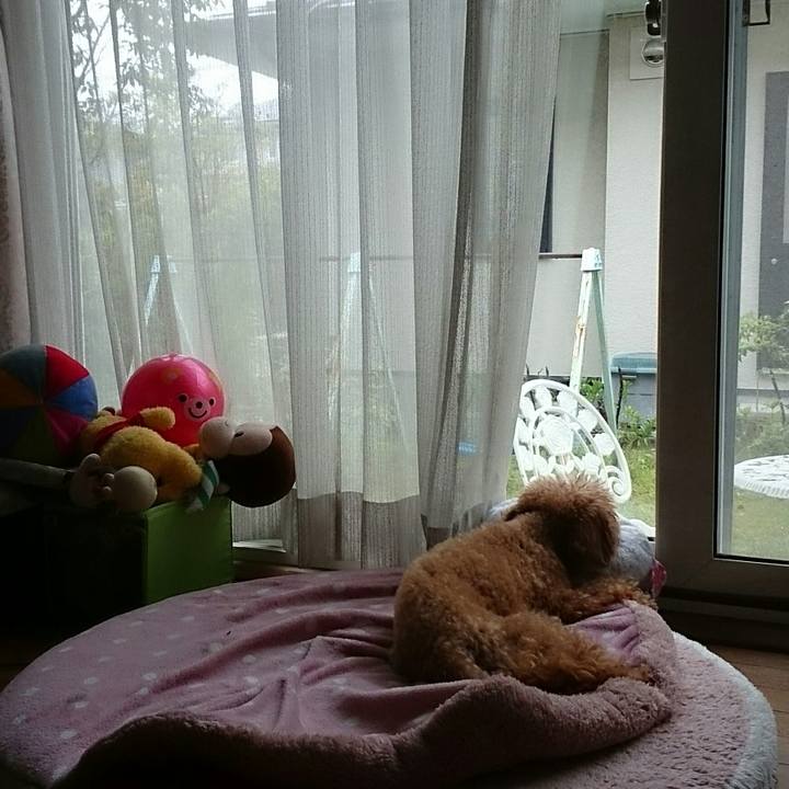 0cc16bab 22d4 478f a614 4d7307504da1