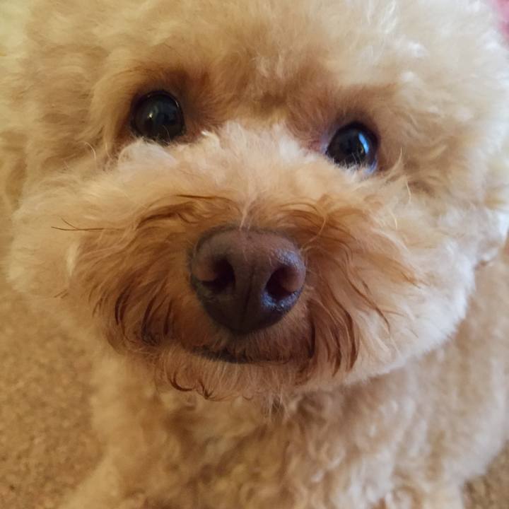 0cc19ffb 4043 4e4d aef6 7fd8cc8ce563