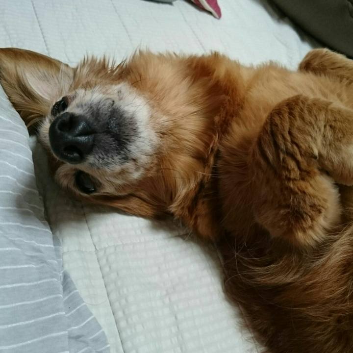 0cc1e280 e720 41a2 ba62 996696742e2d