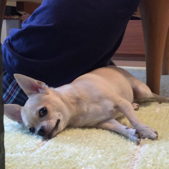 0cc1f2c2 50f3 40ac b4a4 ee437bb095eb