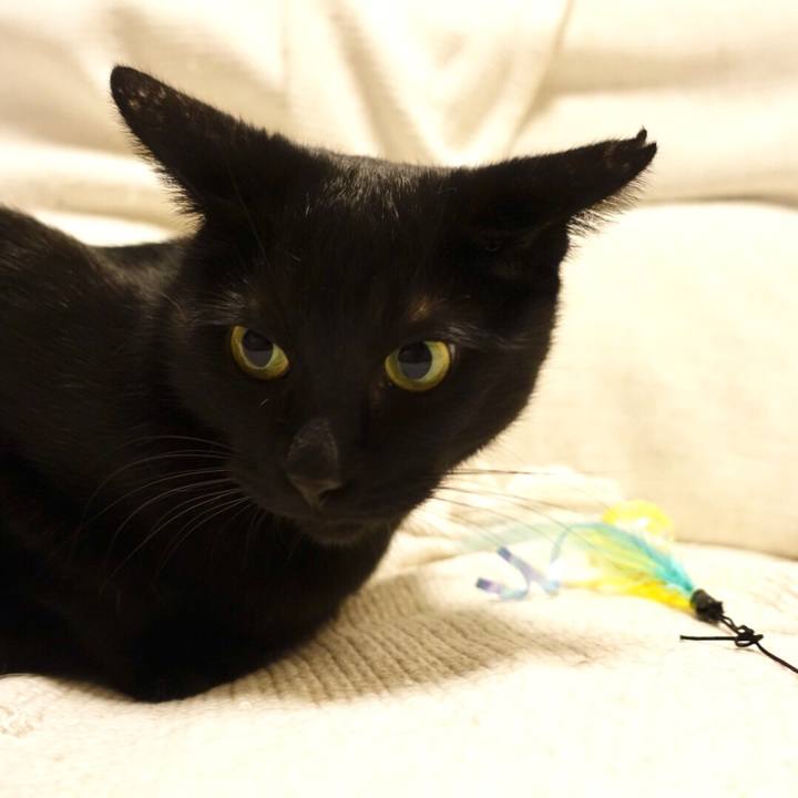 0cc30c28 71d2 4a14 8db6 0645bc6c6725