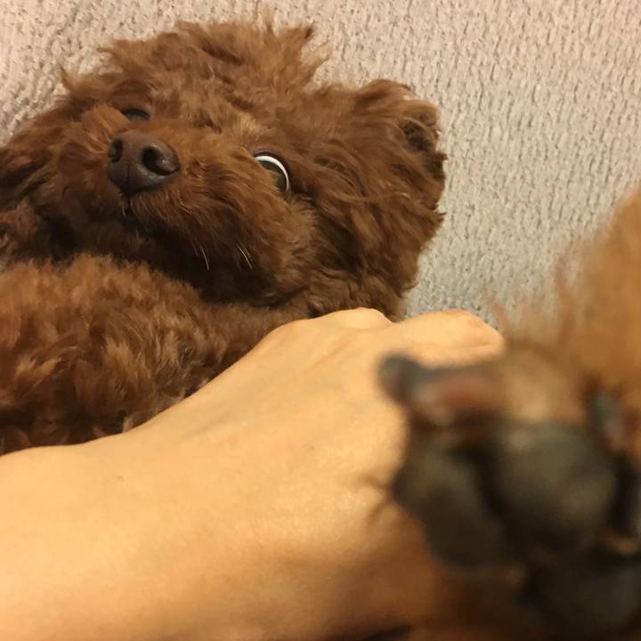 0cc3e940 c1da 42e2 8e52 f374370f46b1