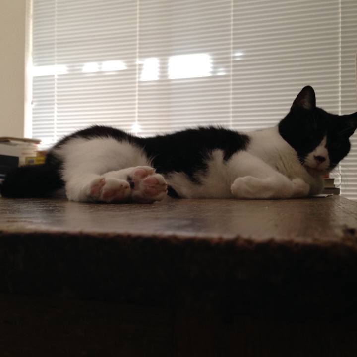 0cc467c0 d7f9 431a a98e 68bc919af278