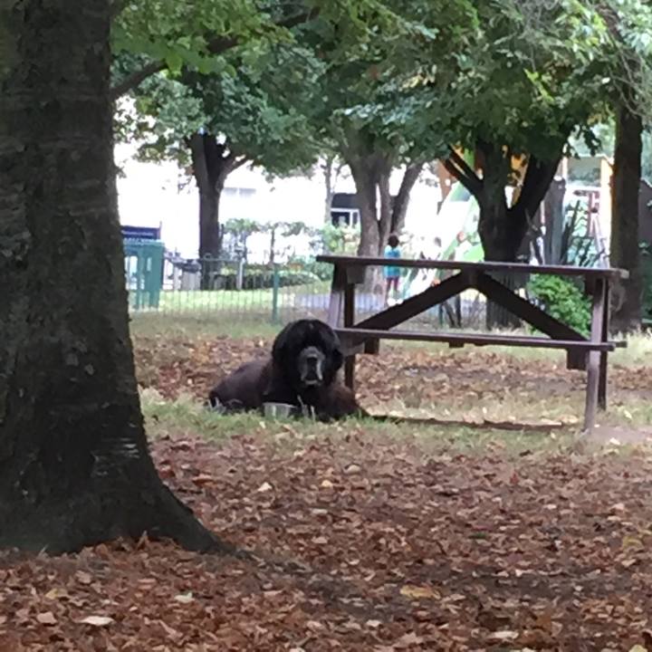 0cc485ce 4b5b 4656 b980 418c287ebc50