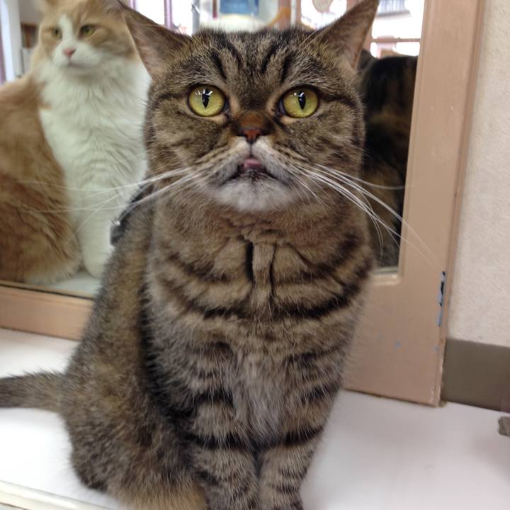 0cc4cd98 fa42 414c 9948 7c9e7e17ae61