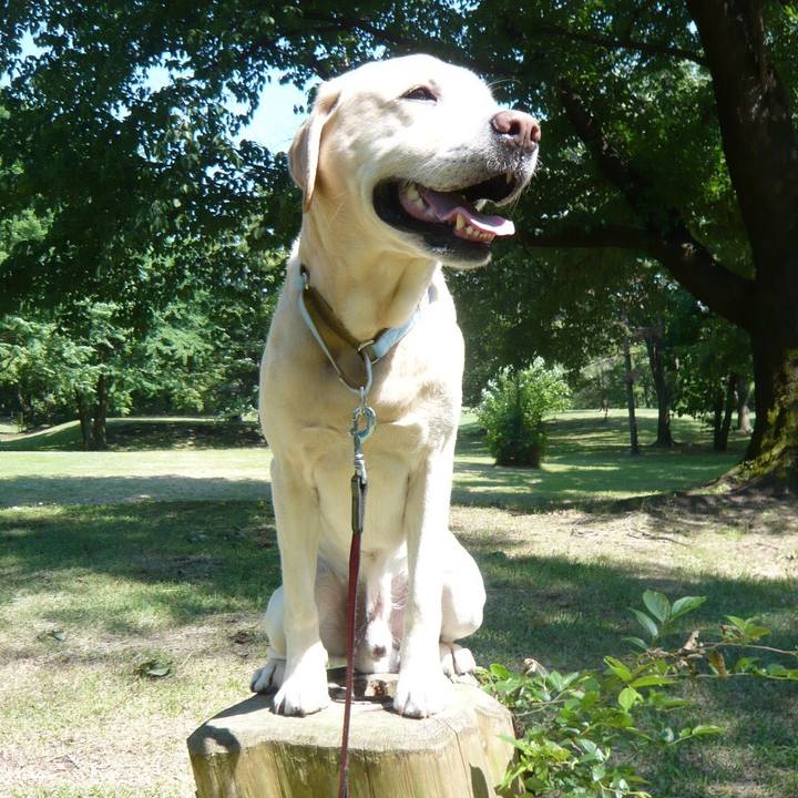 0cc4e9c2 a6ab 4d65 8243 276f86d40a50