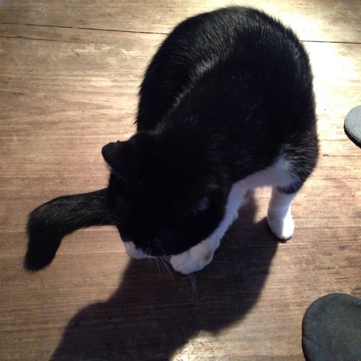 0cc73d37 5d56 4d89 80f3 a4de074cdfd4