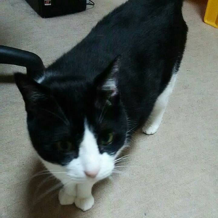 0cc75d03 d32a 4c4d b725 4dcbde85e7ac