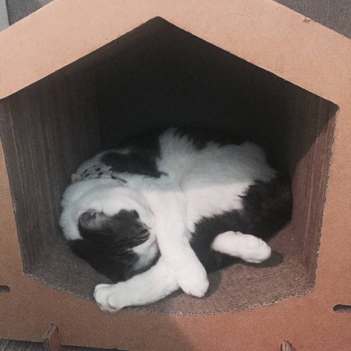 0cc79c71 951b 4be0 baeb 7a6ab118a86b