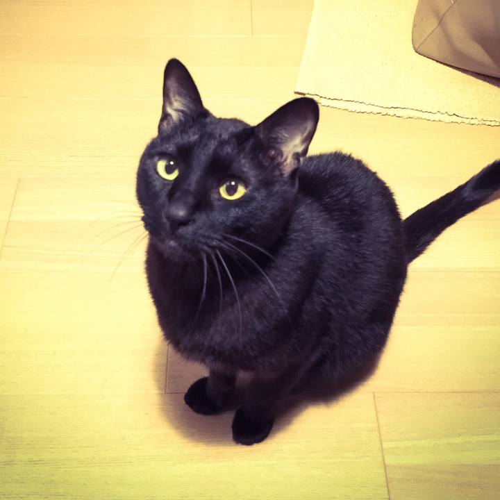 0cc7ab70 5e9a 4f99 b5e3 1585b6af50cc