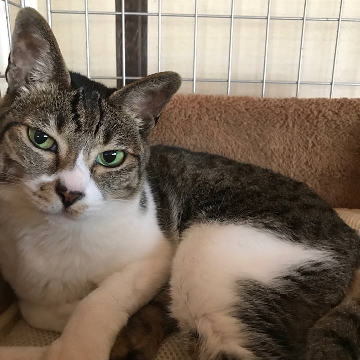 0cc8835a 74e7 4a11 b61c 83f0cb493fe5