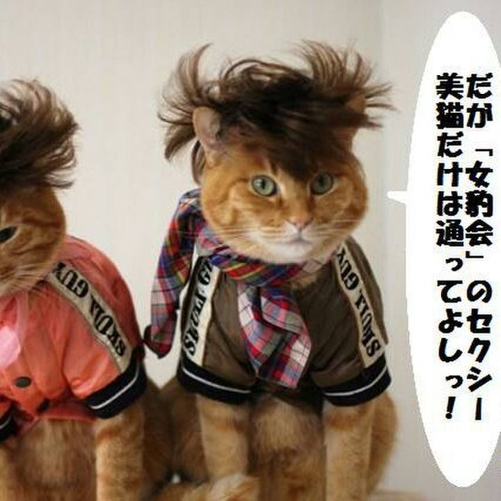 0cc8a2d2 01db 40c6 a5da 21c53eb905be