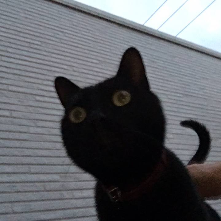 0cc8f1b9 db1a 4453 b467 b6bd80eac3fb