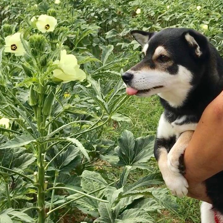 0cc902b8 71fd 4e5d 825c 4822ddc6d01e