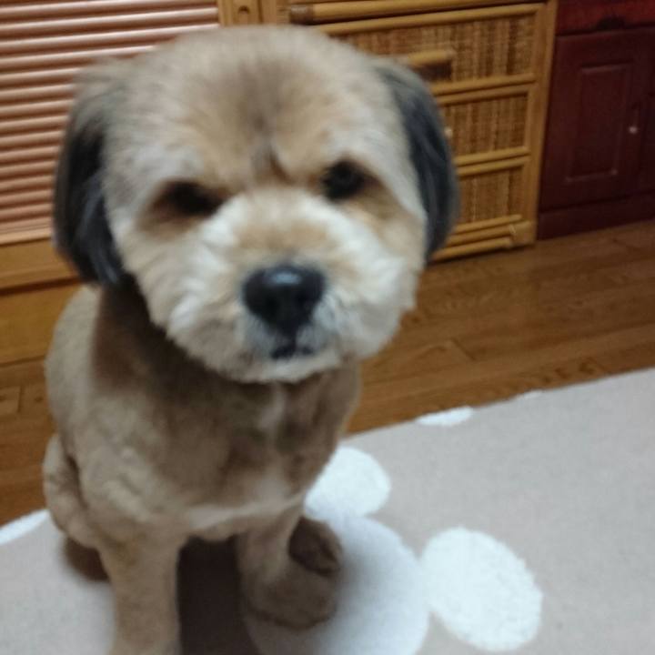 0cc911ba aed5 4b5e a9c7 1cdea06d5360