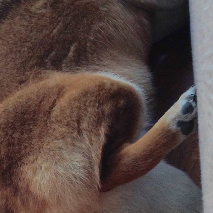 0cc97192 66b0 4fbd ba0c 1b239debeadf