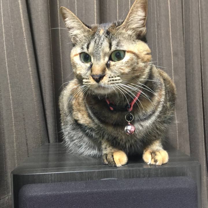 0cc99e5f e67a 482a bb6b 6a1c4e3663b9