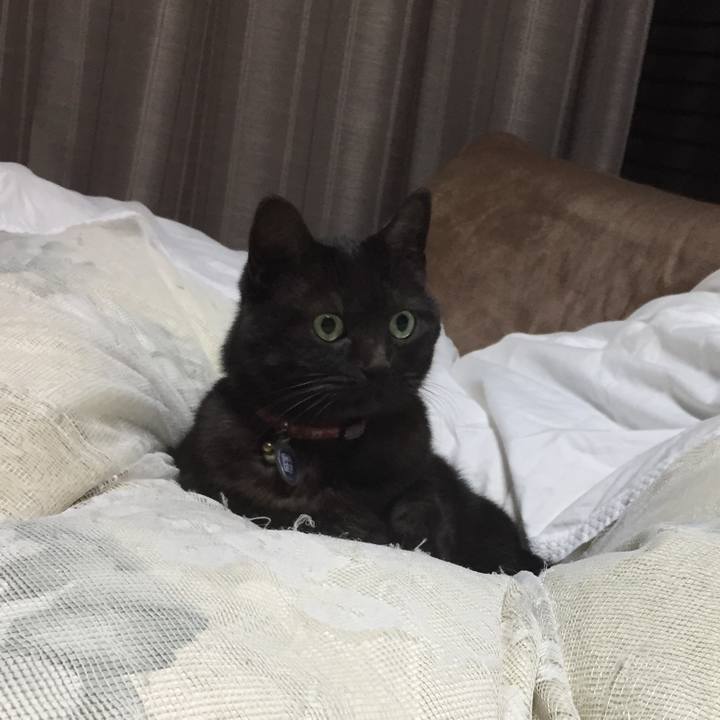 0cc9a809 46f7 47e7 9015 71aa7e368dda