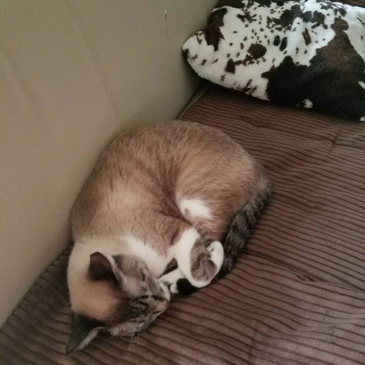 0ccb0bc1 a6d9 41b9 8809 930938cf669e