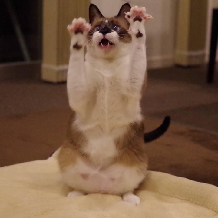 0ccb5b4e c88c 452a a802 6e36017f41fa