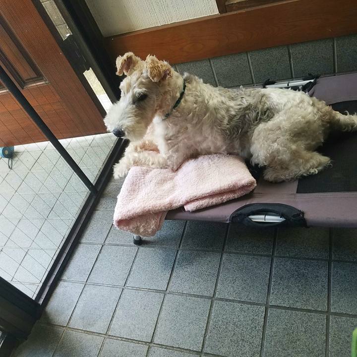 0ccbc746 9a30 4f20 bc65 9c3c810e7347