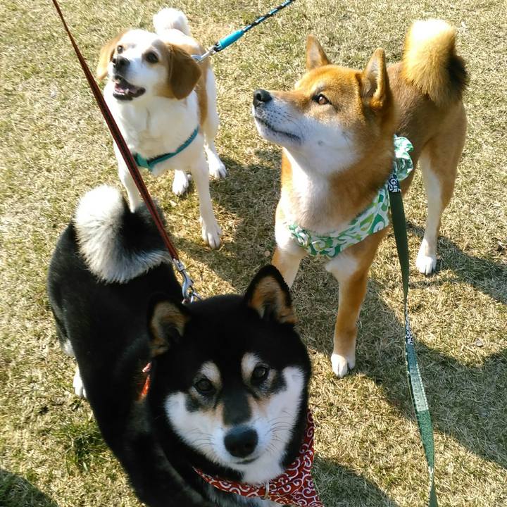 0ccc16bb 6682 444c 9f2e 14f71b4d1050