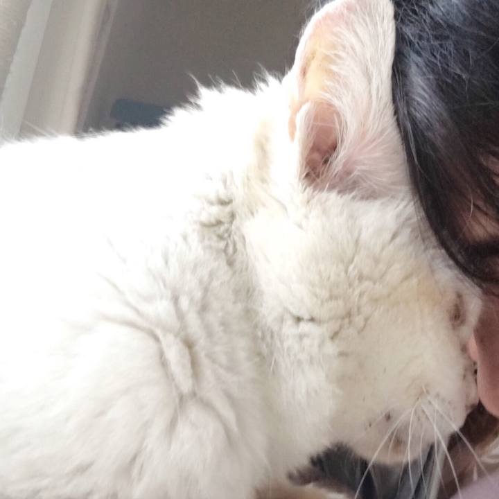 0ccd0620 4bed 46a8 b6d5 93aee6bbab11