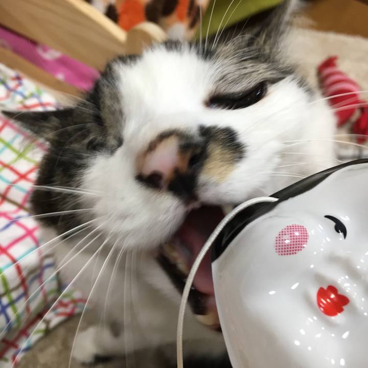 0cce3d84 89f7 4405 800d 155f2d73147a