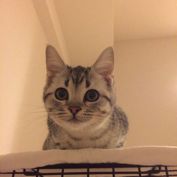 0cce50b6 13fd 4164 a7ad ae4959c3931f