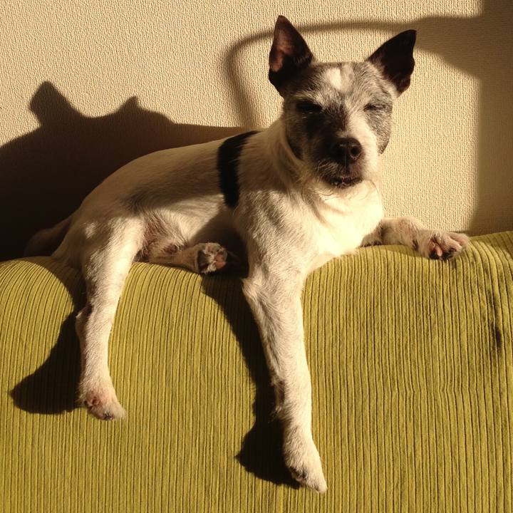 0cced51b a222 4aef 954c f2ed235f15e2