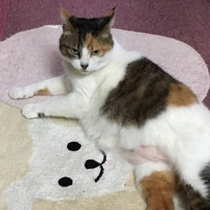 0ccf8948 c780 4775 bdf8 95757bd40b27