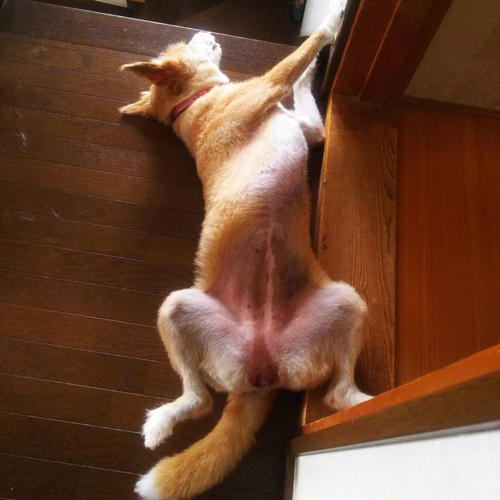 0cd01b4a f74f 4b0b 9457 66f04f8194c0