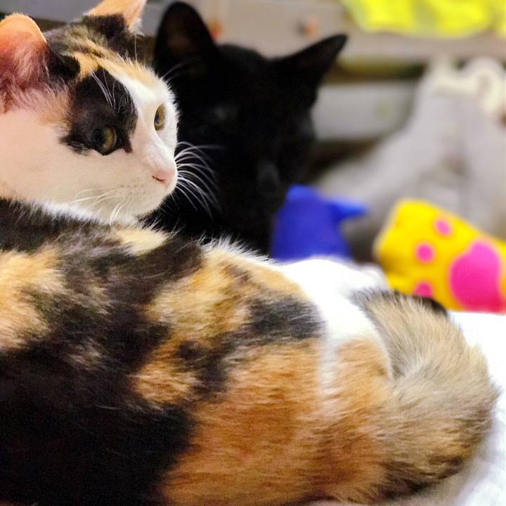 0cd075c6 6a9f 4fa9 ad44 8a444355646d