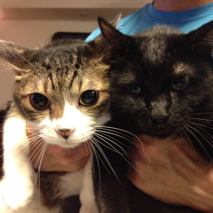 0cd0f56d ceb5 47f7 ae37 7a1f59c8fd8e