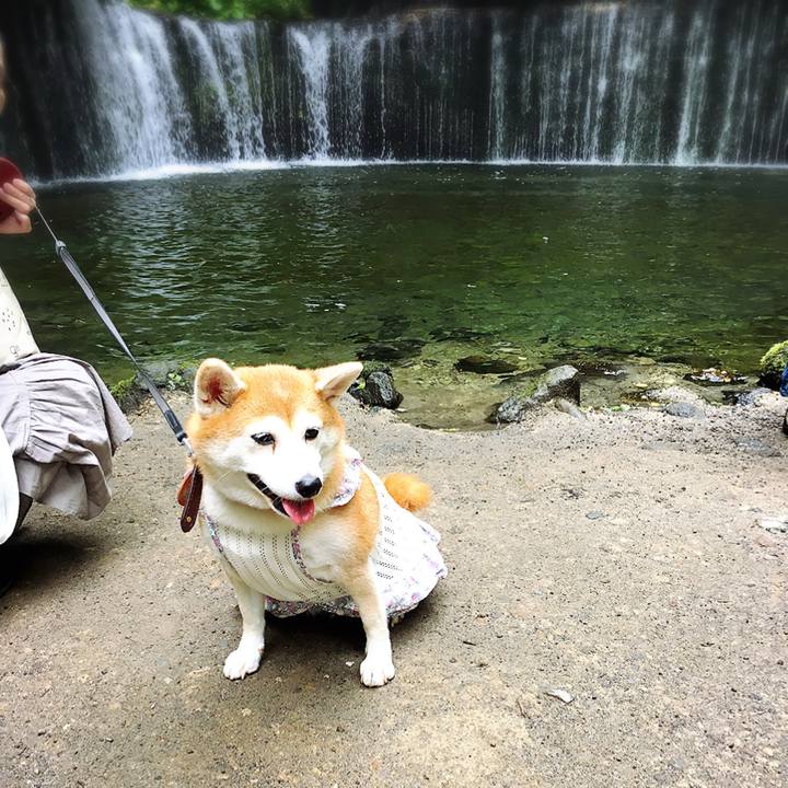 0cd128e8 801a 43c8 a8b0 cce27159d048