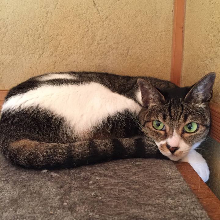 0cd1336c 2e25 4938 a9c0 86fcde1ce799