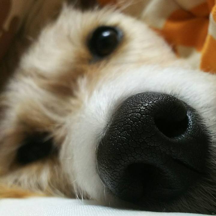 0cd1b482 5ed2 4031 a068 a7d31f2be18f