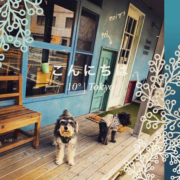 0cd1ea5a 9d2d 4ef0 9558 ce60e6842869