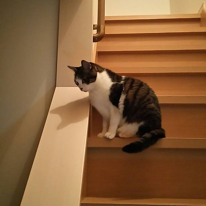 0cd22366 8dd6 440c 9ad8 154900c65edc