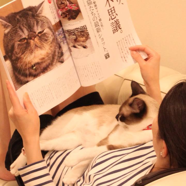 0cd22839 cf58 4286 b835 1b391c7ff33a