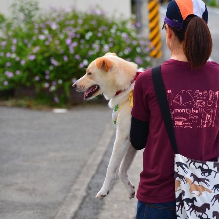 0cd2fc02 1530 4f52 8fa8 96d044dfe092